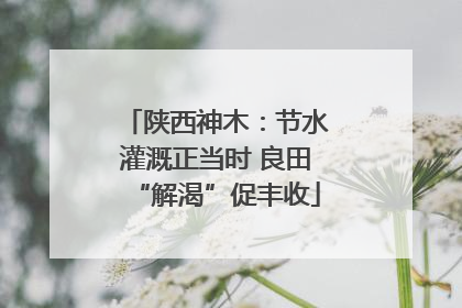陕西神木：节水灌溉正当时 良田“解渴”促丰收