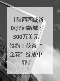 陕西西咸新区泾河新城：300万美元签约！茯茶“金花”绽放中亚