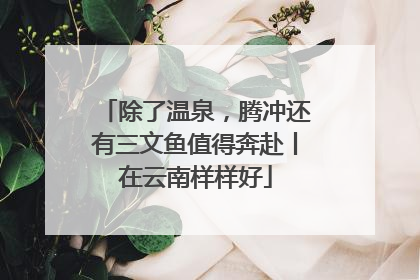 除了温泉，腾冲还有三文鱼值得奔赴丨在云南样样好