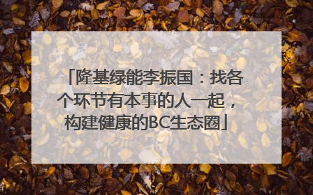 隆基绿能李振国：找各个环节有本事的人一起，构建健康的BC生态圈