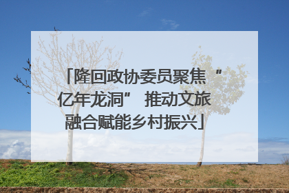 隆回政协委员聚焦“亿年龙洞” 推动文旅融合赋能乡村振兴