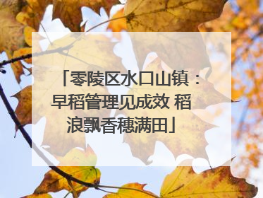 零陵区水口山镇：早稻管理见成效 稻浪飘香穗满田