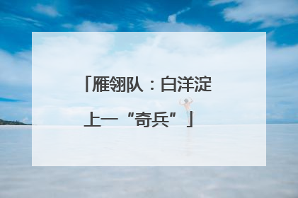 雁翎队：白洋淀上一“奇兵”