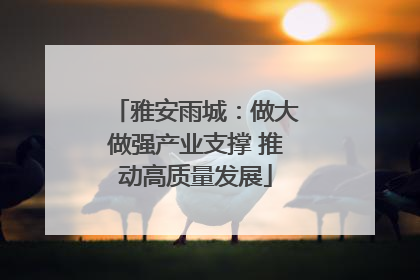 雅安雨城：做大做强产业支撑 推动高质量发展