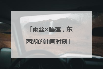 雨丝×睡莲，东西湖的油画时刻