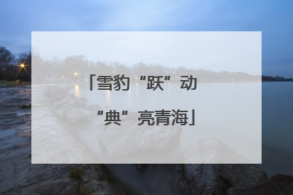 雪豹“跃”动 “典”亮青海
