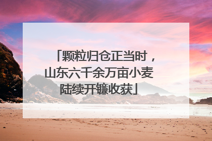 颗粒归仓正当时，山东六千余万亩小麦陆续开镰收获