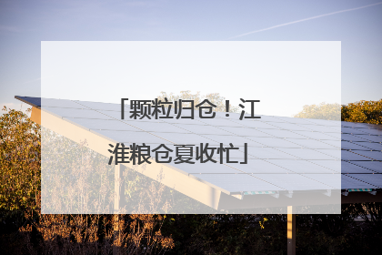 颗粒归仓！江淮粮仓夏收忙
