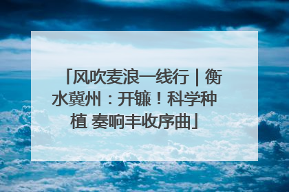 风吹麦浪一线行｜衡水冀州：开镰！科学种植 奏响丰收序曲