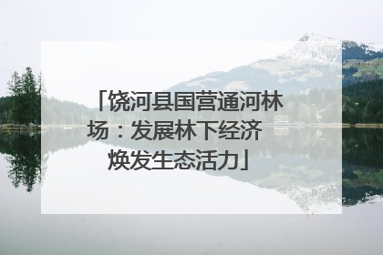 饶河县国营通河林场：发展林下经济 焕发生态活力