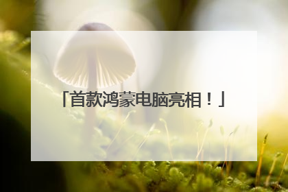 首款鸿蒙电脑亮相！