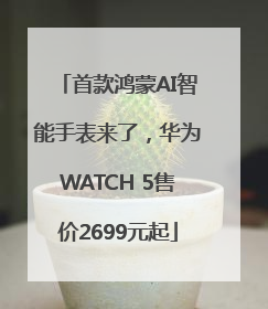 首款鸿蒙AI智能手表来了，华为WATCH 5售价2699元起