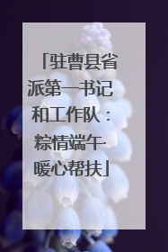 驻曹县省派第一书记和工作队：粽情端午·暖心帮扶