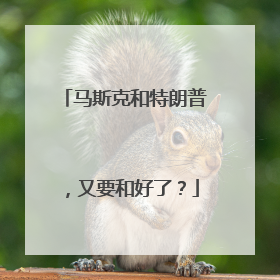 马斯克和特朗普，又要和好了？