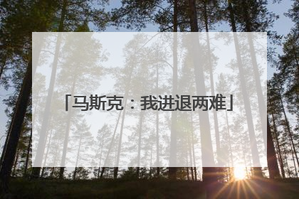 马斯克：我进退两难