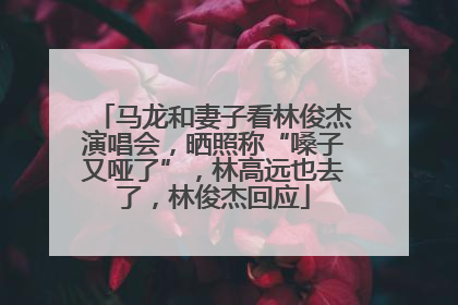 马龙和妻子看林俊杰演唱会，晒照称“嗓子又哑了”，林高远也去了，林俊杰回应