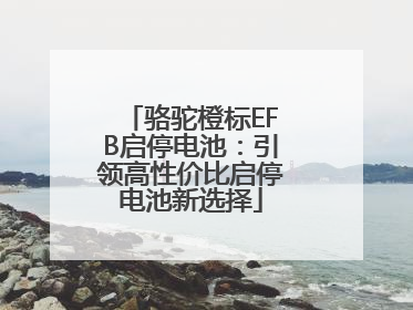 骆驼橙标EFB启停电池：引领高性价比启停电池新选择