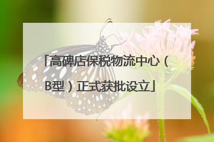 高碑店保税物流中心（B型）正式获批设立