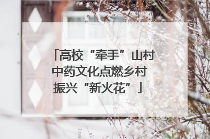 高校“牵手”山村 中药文化点燃乡村振兴“新火花”