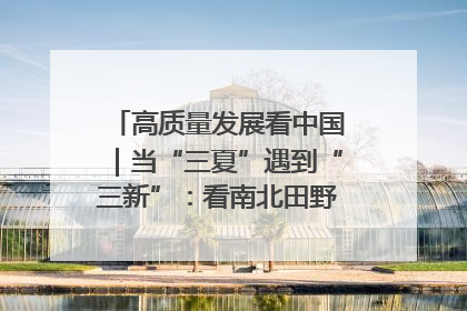 高质量发展看中国｜当“三夏”遇到“三新”：看南北田野里的科技共生记