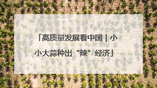 高质量发展看中国｜小小大蒜种出“辣”经济