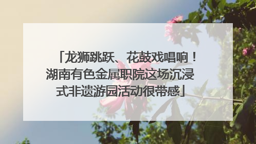 龙狮跳跃、花鼓戏唱响！湖南有色金属职院这场沉浸式非遗游园活动很带感