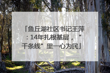 鱼丘湖社区书记王萍：14年扎根基层，“千条线”里一心为民