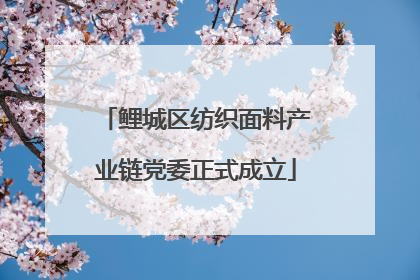 鲤城区纺织面料产业链党委正式成立