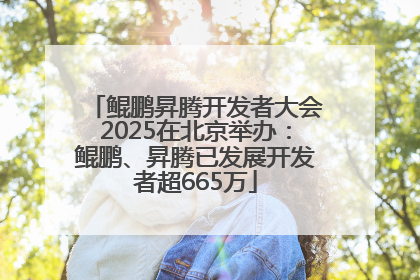 鲲鹏昇腾开发者大会2025在北京举办：鲲鹏、昇腾已发展开发者超665万