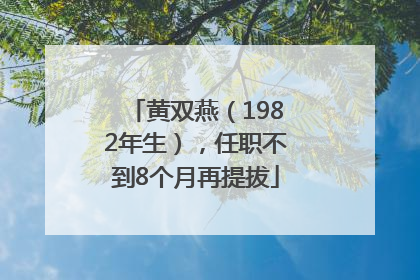 黄双燕（1982年生），任职不到8个月再提拔