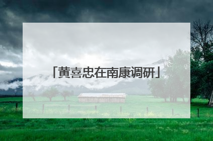 黄喜忠在南康调研
