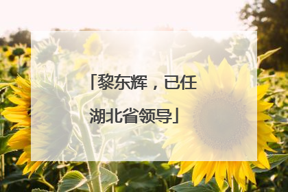 黎东辉，已任湖北省领导