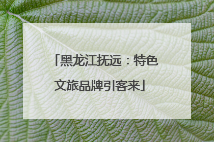 黑龙江抚远：特色文旅品牌引客来