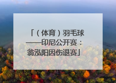 （体育）羽毛球——印尼公开赛：翁泓阳因伤退赛
