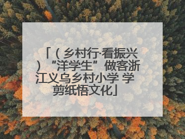 （乡村行·看振兴）“洋学生”做客浙江义乌乡村小学 学剪纸悟文化