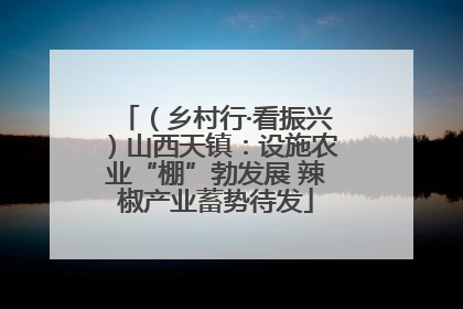 （乡村行·看振兴）山西天镇：设施农业“棚”勃发展 辣椒产业蓄势待发