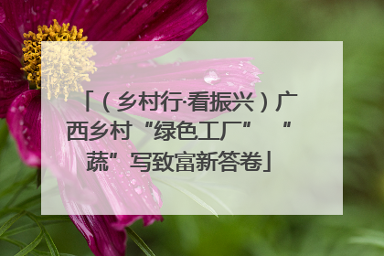 （乡村行·看振兴）广西乡村“绿色工厂” “蔬”写致富新答卷