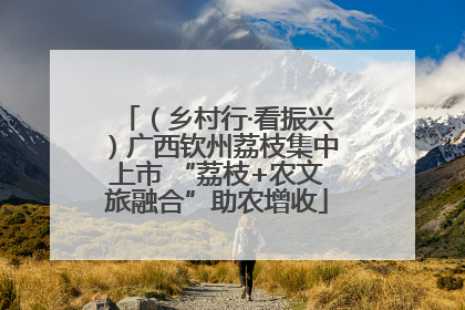 （乡村行·看振兴）广西钦州荔枝集中上市 “荔枝+农文旅融合”助农增收