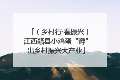 （乡村行·看振兴）江西赣县小鸡蛋“孵”出乡村振兴大产业