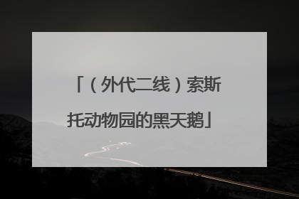 （外代二线）索斯托动物园的黑天鹅