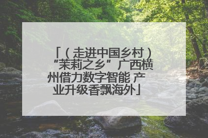 （走进中国乡村）“茉莉之乡”广西横州借力数字智能 产业升级香飘海外