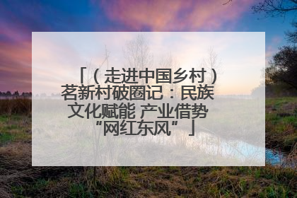 （走进中国乡村）茗新村破圈记：民族文化赋能 产业借势 “网红东风”