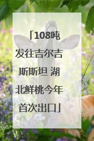 108吨发往吉尔吉斯斯坦 湖北鲜桃今年首次出口