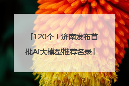 120个！济南发布首批AI大模型推荐名录
