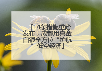 14条措施重磅发布，成都用真金白银全方位“护航”低空经济