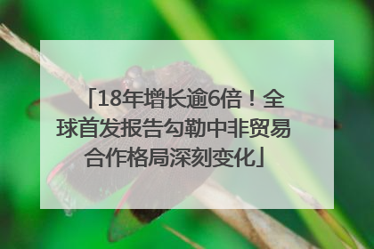 18年增长逾6倍！全球首发报告勾勒中非贸易合作格局深刻变化
