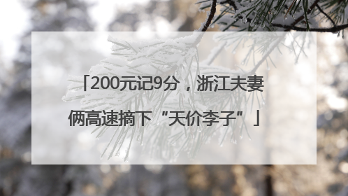 200元记9分，浙江夫妻俩高速摘下“天价李子”
