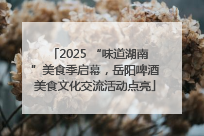 2025 “味道湖南”美食季启幕，岳阳啤酒美食文化交流活动点亮