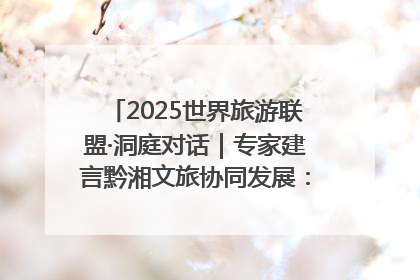 2025世界旅游联盟·洞庭对话｜专家建言黔湘文旅协同发展：聚焦产品稀缺性 深化区域经验共享