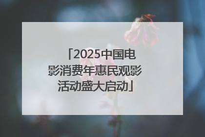 2025中国电影消费年惠民观影活动盛大启动